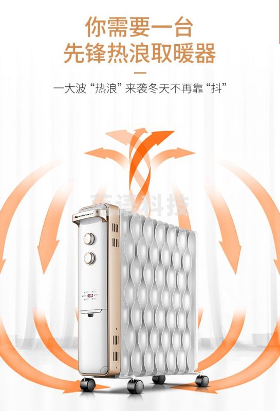 先锋 （Singfun）取暖器 电热油汀家用电暖气片热浪油汀电暖器加热器 DS1555（热浪14片）
