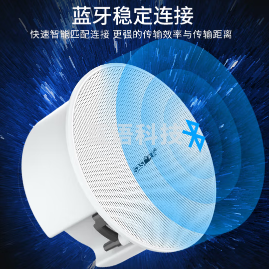 先科G4 无线蓝牙吸顶音响吊顶天花喇叭套装 同轴蓝牙版主机器