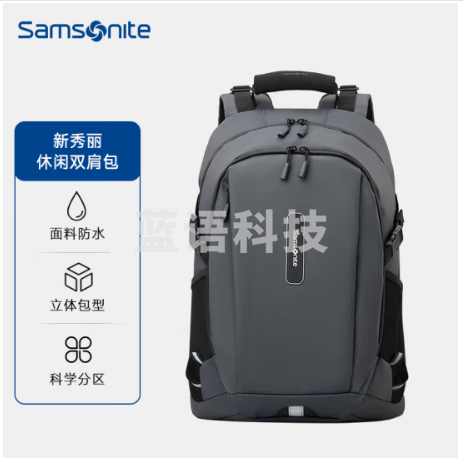 新秀丽（Samsonite）双肩包电脑包男士防水旅行包笔记本电脑包15.6英寸 BP4*003 灰色