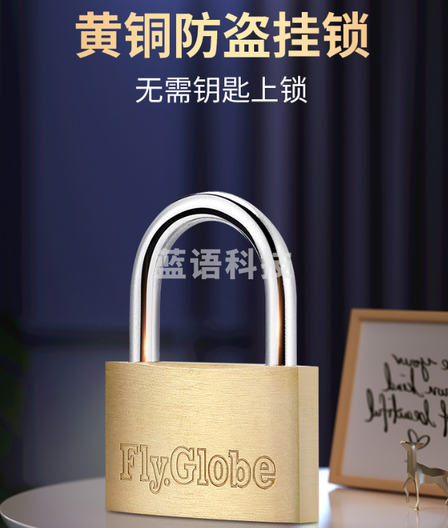 飞球（Fly.Globe）铜挂锁 防水防锈门锁 仓库大门家用防盗窗锁头 50mm