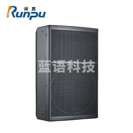 润普RP-SV15 国产化会议室音响/15英寸音箱