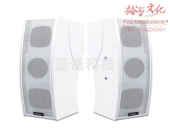 教学扩声系统音箱 SP590