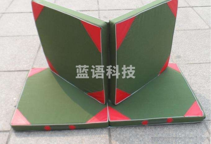 WLD一7037 体操垫 2块一组