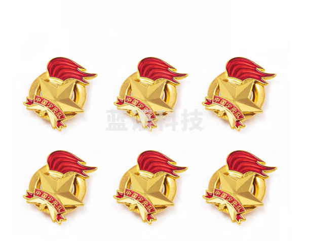 得力 少先队队徽 小学生少先队员队徽 立体磁吸款 6枚装 50561