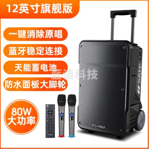 山水（SANSUI）A12 12英寸大功率重低音广场舞音响 便携移动户外蓝牙拉杆音箱多媒体会议扩音器带麦克风