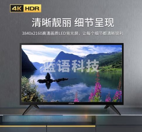 dahua大华监视器 监控专用高清显示屏LED 49英寸4K监视器DH-LM49-S400