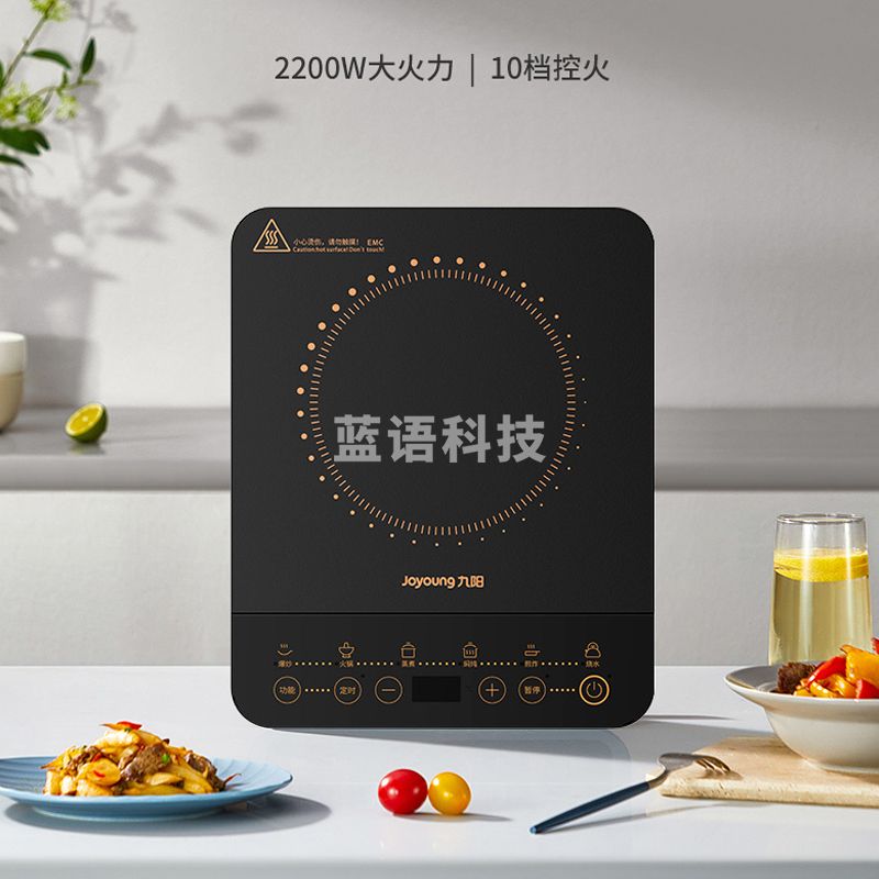 九阳电磁炉C22S-N102-B4