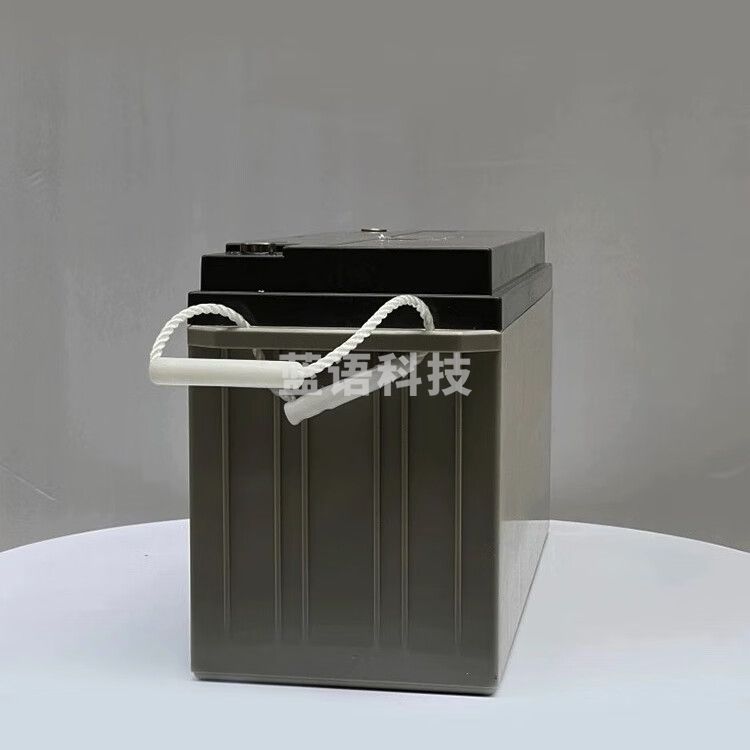 理士电池理士(LEOCH)铅酸蓄电池DJM全系列12V直流屏UPS电源消防 EPS电源用 DJM12-150 12V150ah