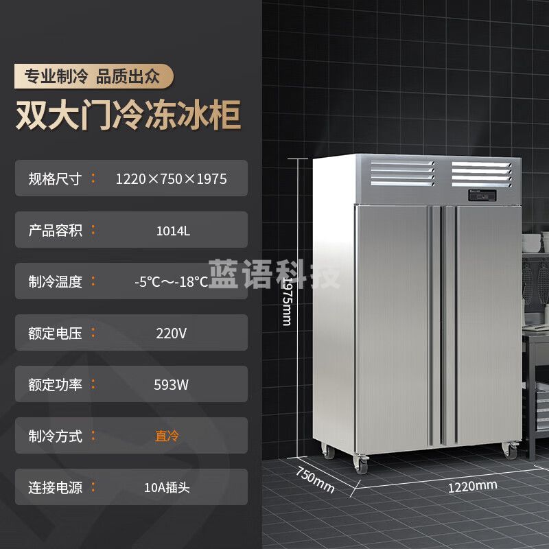 金佰特 KING BETTER 商用冰箱双大门 大容量立式冷冻冰柜 不锈钢双开门饭店厨房酒店 冷冻款LLD-2DMS