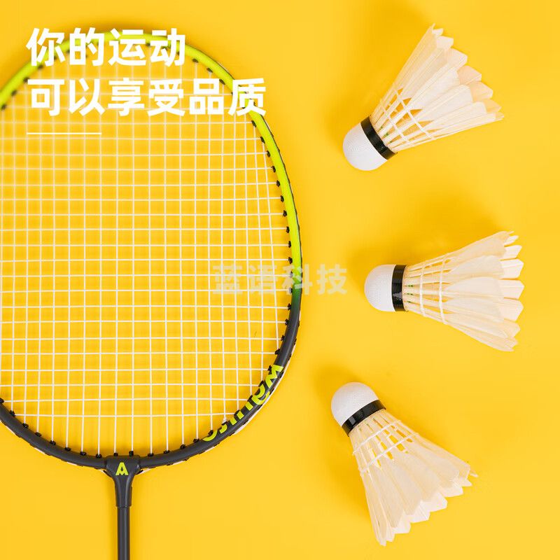 安格耐特(Agnite) 全园白色羽毛球(12只/筒)  F2205