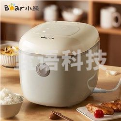 小熊（Bear） DFB-P25A1 电饭煲