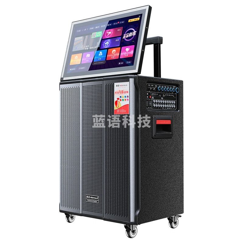 金正（NINTAUS）N901广场舞音响带显示屏移动家庭KTV点歌音箱套装户外便捷式蓝牙智能卡拉OK专用全套设备