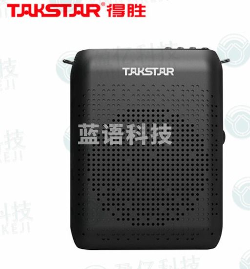 得胜（TAKSTAR）E220便携式小蜜蜂扩音器教师蓝牙迷你教学专用上课用带FM音箱 黑色