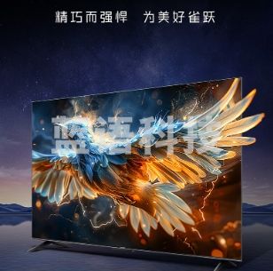 TCL雷鸟 雀4  55英寸  4K超高清 无开机广告 2+32GB 游戏液晶平板电视55F270C-J