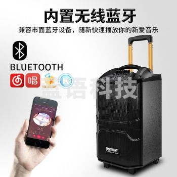 特美声（TEMEISHENG）QX-29户外唱歌音响广场舞音响室外拉杆大功率便携重低音炮户外音响k歌专用带无线KTV美声话筒双麦 QX29八吋户外移动音响