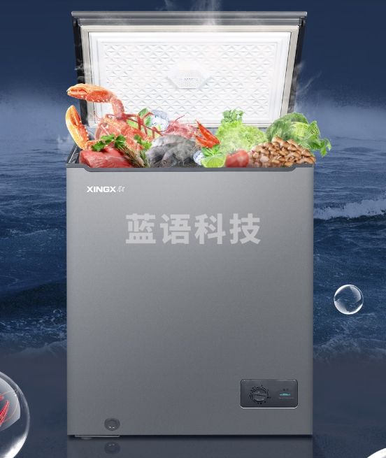 星星·（XINGX）星星牌家用小型冰柜单温冷藏冷冻转换冷柜一级能效减霜80%丸子肉类速冻冷冻柜保鲜节能冰箱 铜管 BD/BC-305KC【钢板门/减霜80%】