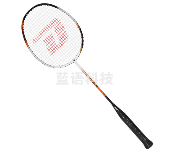 红双喜（DHS）羽毛球拍对拍碳素一体比赛羽拍套装已穿线含球EG710