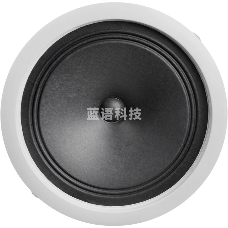 纽曼（Newmine） 吸顶音响 ND-7 公共广播背景音乐同轴高音音响系统（8英寸）