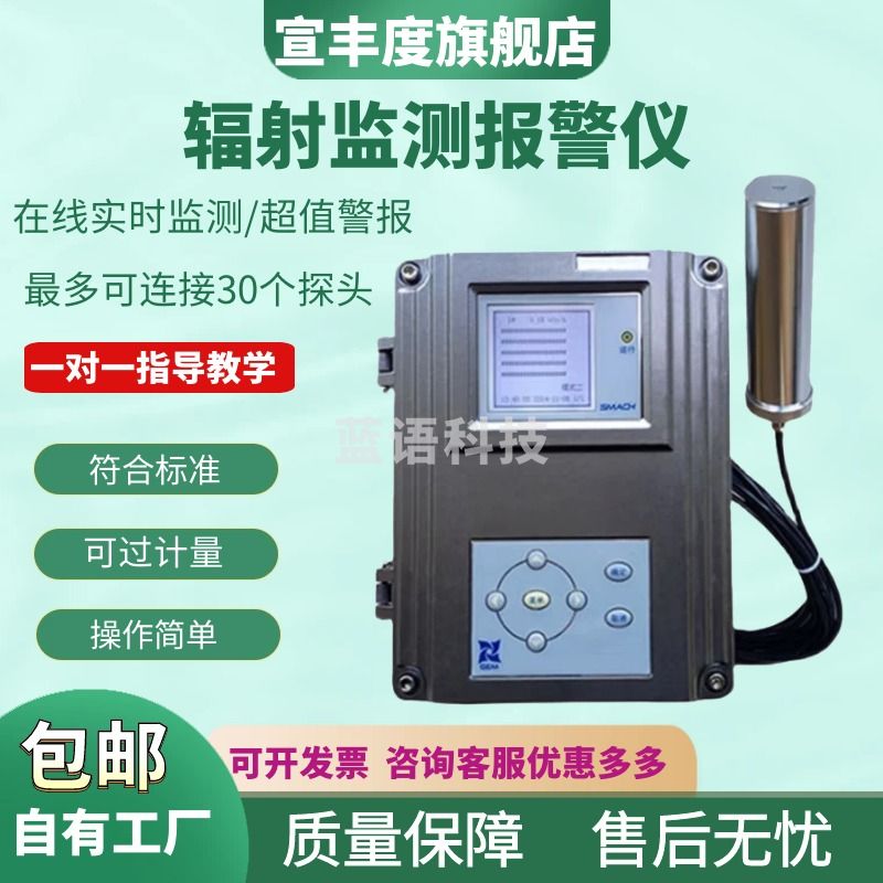 宣丰度RL5000型固定式辐射监测报警仪 在线xγ辐射安全区域射线报警仪 RL5000