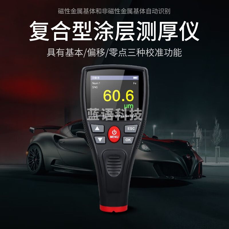 韦度（WD）涂层测厚仪漆膜仪0.1μm镀锌层油漆厚度测量仪汽车漆面检测仪 涂层测厚仪WT2110