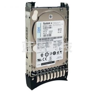 联想 IBM (Lenovo)服务器硬盘 SAS通用企业级/300G/600G/900G/1T/2T 300GB SAS 10K RPM 2.5英寸 BZJK05231148261320