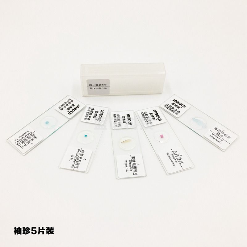 星博康（snbokn） 生物显微镜标本切片套装载玻片盖玻片 学生观测动植物人体组织细菌 儿童科学实验 5片装