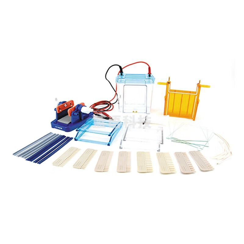 JISENPUER北京六一DYCZ-24EN型双垂直电泳仪(中号) DYCZ-24EN