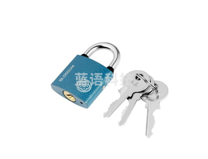 梅花（BLOSSOM）铜芯铁锁 室内外大门锁38MM蓝色BC2938