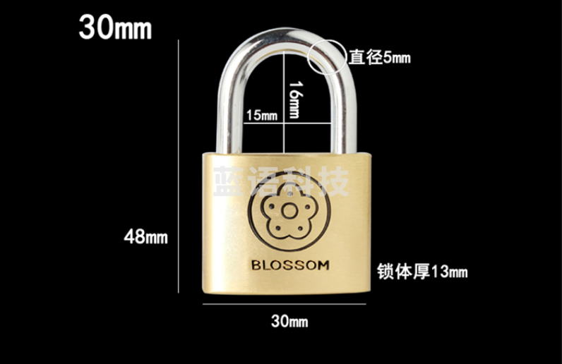 梅花（BLOSSOM）雅圆铜挂锁30MM 抽屉锁工具箱锁 宿舍柜门锁BC9030