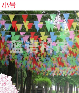 小号彩旗串旗三角旗 一包50米100面旗子 旗子大小14*18cm