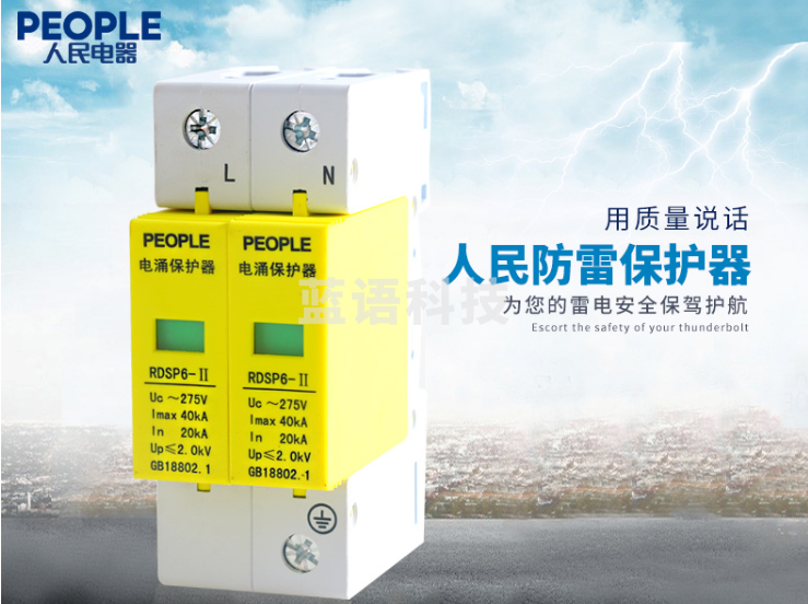 人民电器 电涌保护器 2P 40KA 防雷器220V RDSP6 Uc275