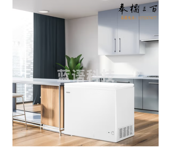 海尔 BC/BD-300GHD 冷藏柜 冰柜 300升