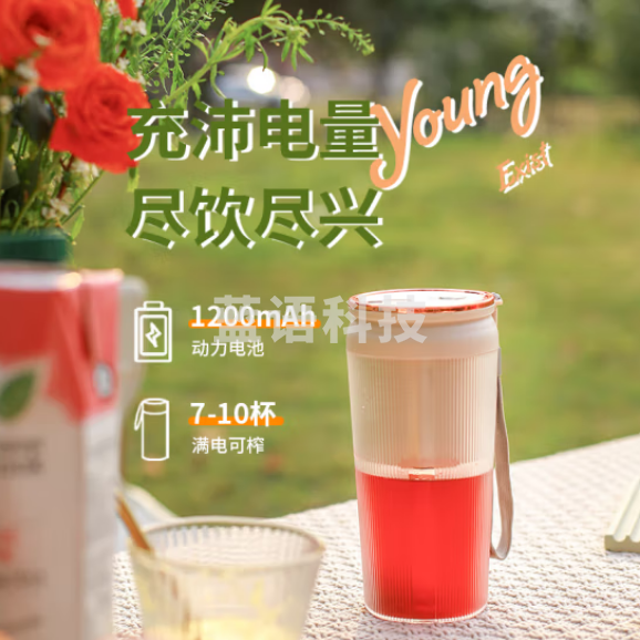 荣事达（Royalstar）榨汁机家用小型便携式无线水果电动榨汁杯料理机多功能迷你果汁机RZ-28M2胡椒白