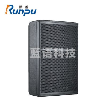 润普(Runpu)国产化会议室音响/10英寸音箱RP-SV10