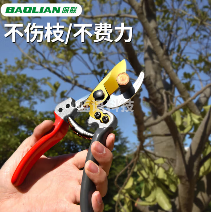 保联 园艺剪树枝剪刀修枝剪粗枝剪园林花艺剪修剪树枝省力剪切 镀金sk5树枝剪