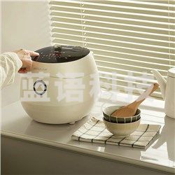 小熊（Bear） DFB-B30P1 电饭煲