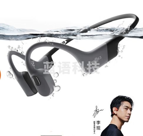 韶音（SHOKZ）OpenSwim Pro S710骨传导蓝牙耳机开放式耳机运动无线耳机游泳跑步骑行不入耳挂耳式蓝牙耳机防水 页岩峰