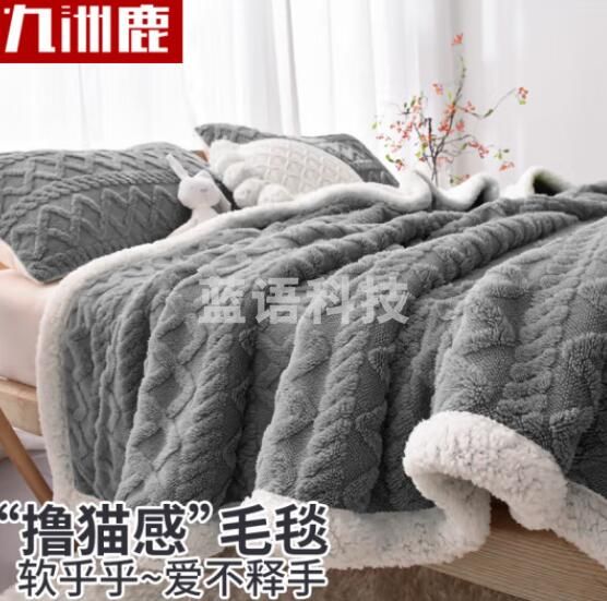 九洲鹿 塔肤绒毛毯150*200cm拉舍尔午休毯盖毯冬季铺床沙发毯子 高级灰