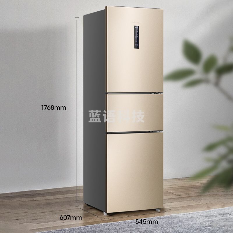 海信 (Hisense) BCD-220WYK1DQ 220升三门电冰箱  小型家用节能静音