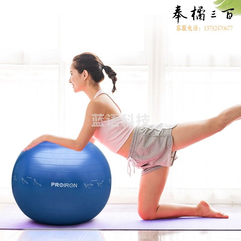 PROIRON 教学瑜伽球 健身球加厚防滑防爆初学者男女通用儿童孕妇分娩助产球普拉提平衡球65CM蓝色