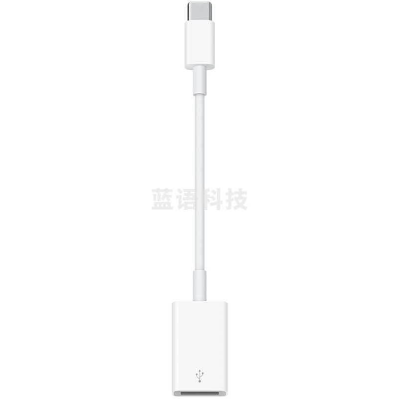 Apple USB-C/雷霆3 至 USB 转换器 适用部分Macbook iPad 平板 笔记本 转接头