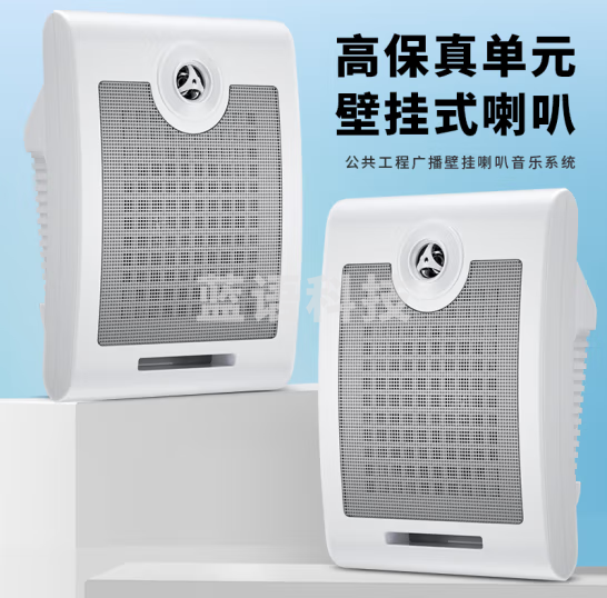 先科A1壁挂音响挂式喇叭 10w