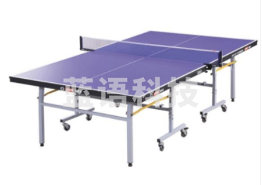 红双喜T2023 乒乓球台