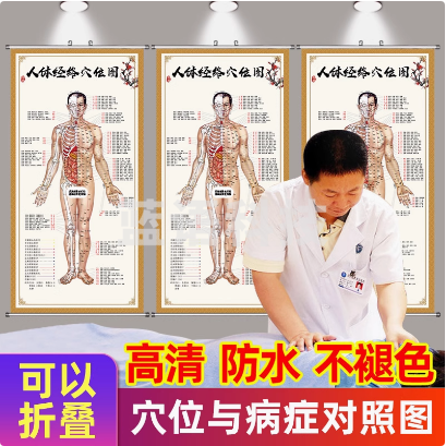 男性人体穴位图