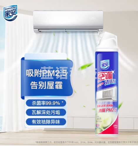 家安空调清洗剂空调清洁剂清除PM2.5挂壁机专用（纯净栀子） 360ml
