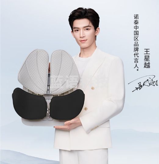 诺泰（nuotai） 人体工学腰靠办公室护腰久坐靠垫坐垫背垫K09黑