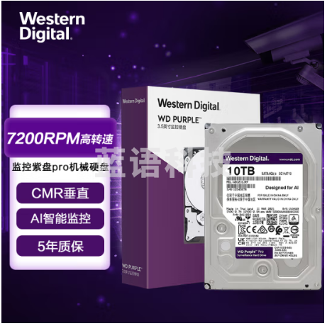 西部数据(Western Digital)WD101EJRP紫盘Pro 10TB SATA6Gb/s 7200转256M 监控硬盘