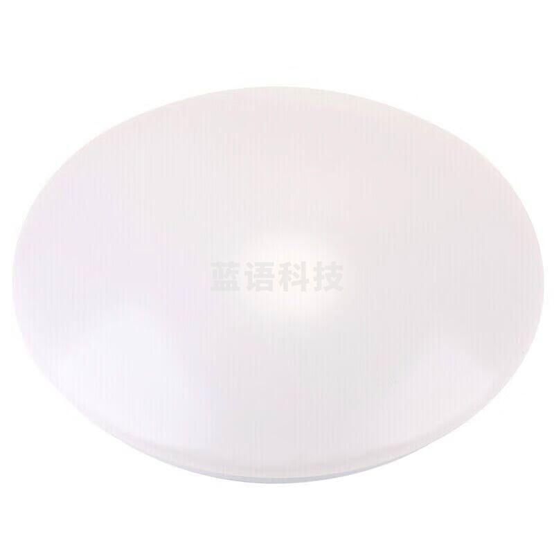 LED 吸顶灯13W 全白