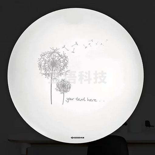 光迪 LED吸顶灯 18w 蒲公英（底盘尺寸290mm）