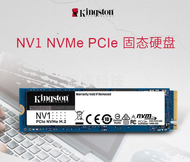 金士顿（Kingston）500GB SSD固态硬盘 M.2接口(NVMe协议) NV1系列